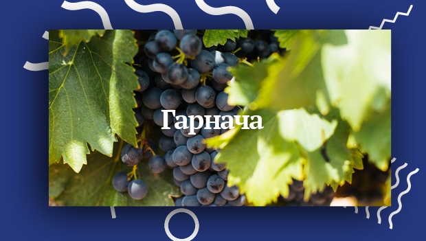 Гарнача