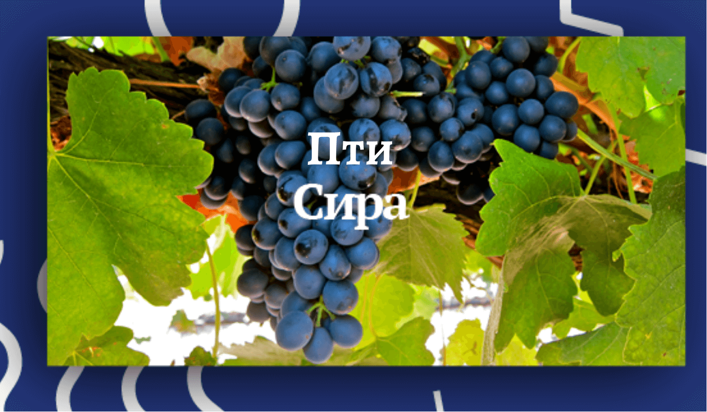 Пті Сіра
