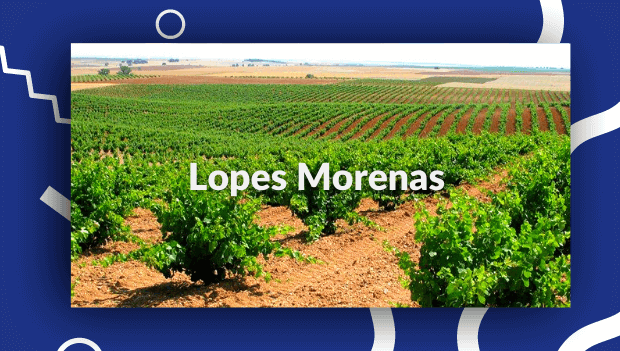 Bodegas Lopes Morenas