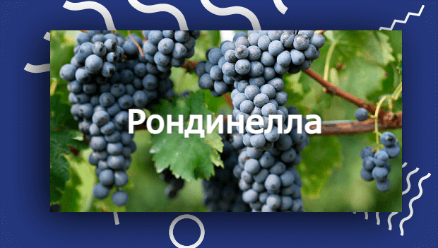 Рондинела