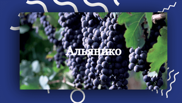 Альяніко