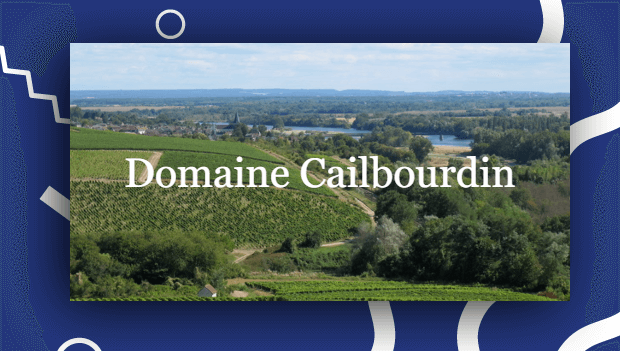 Domaine Cailbourdin