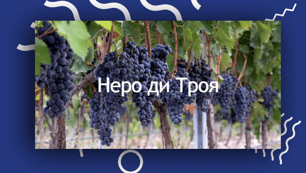 Неро ді Троя